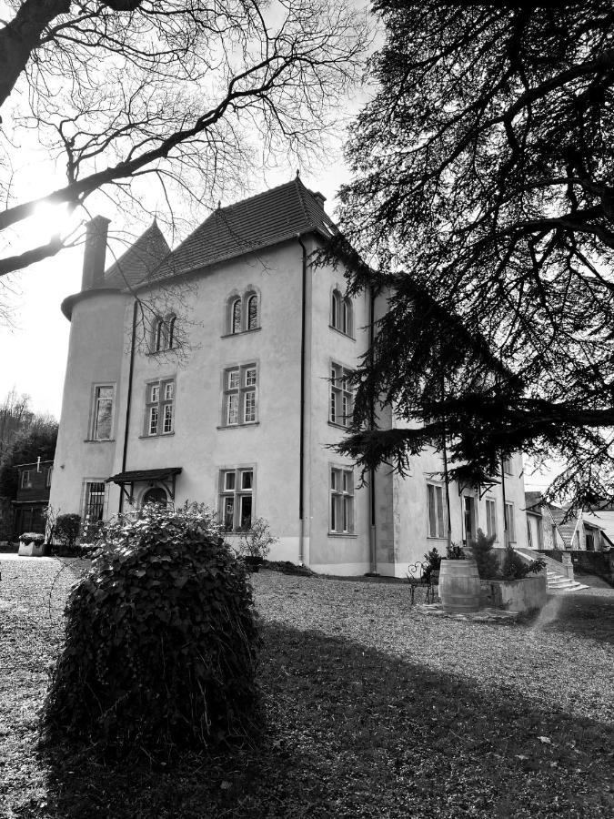 Bed And Breakfast Le Chateau De Morey Belleau Exteriér fotografie
