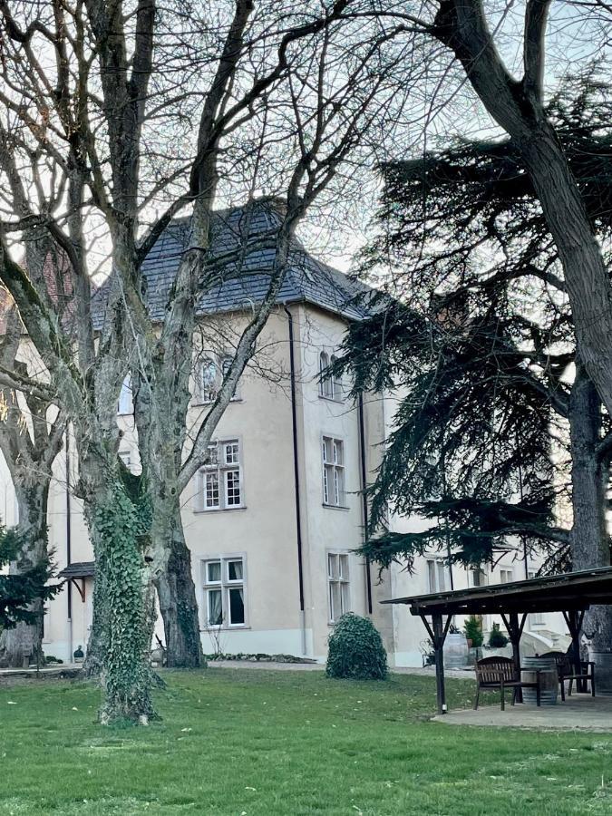 Bed And Breakfast Le Chateau De Morey Belleau Exteriér fotografie